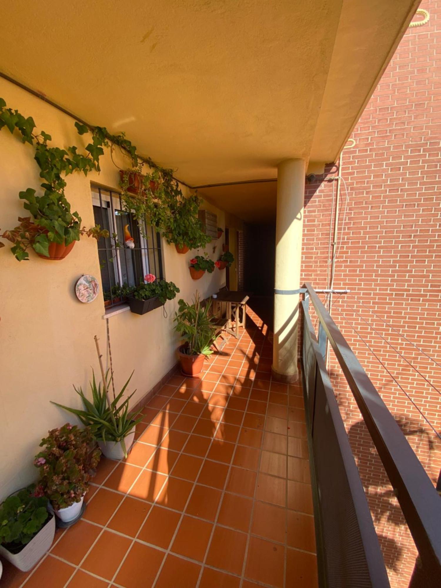 شقة Apartamento Arroyo De La Miel Costa Del Sol بينالماذينا المظهر الخارجي الصورة